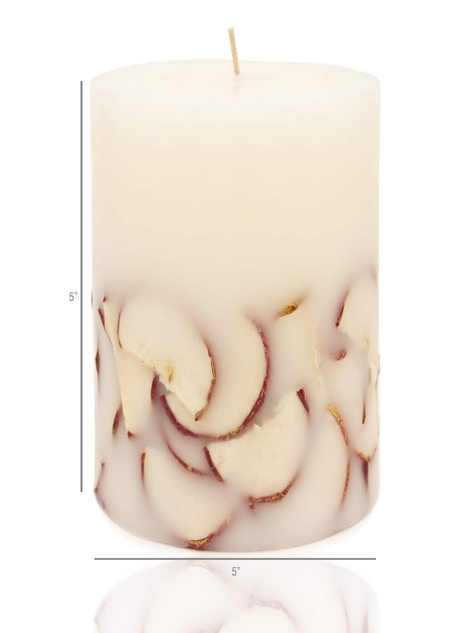 ANDALUCA Apple Botanical Candle | 5 x 5 inch | Handmade in USA | 100+ Hours - Image 4